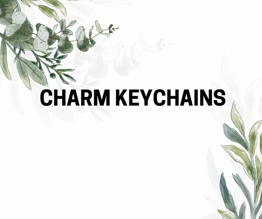 Charm Keychains + 5 Charms